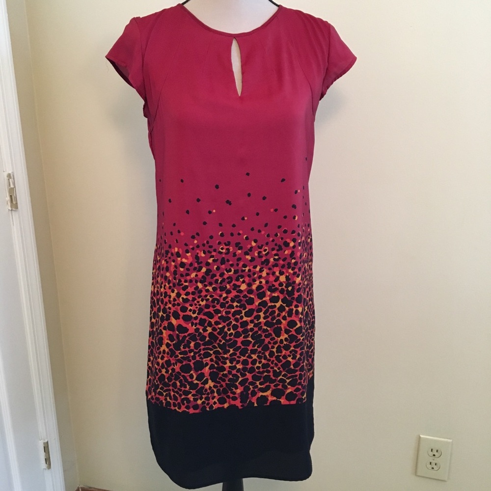 New York & Company Gradient Ombré Dress